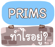 856548361