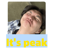 856558315