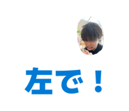 856558325