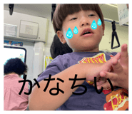 856558686