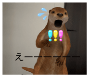 856558687