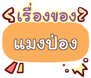 856558902