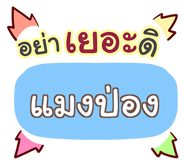 856558905