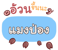856558915