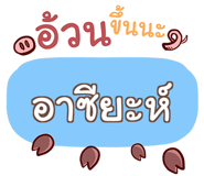 856565355