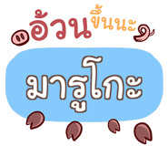 856567355