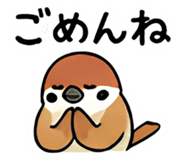 856574972