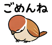 856574975