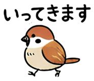 856574976