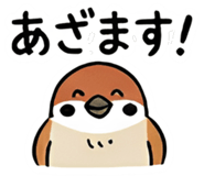 856574980
