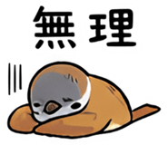 856574985