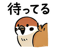 856574988