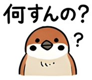 856574998