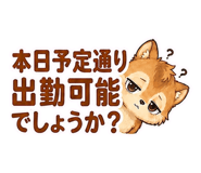 856575309