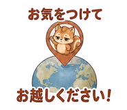 856575314