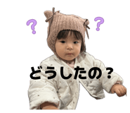 856575392