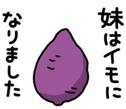 856587182