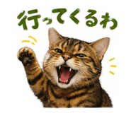 856587708