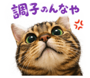 856587719