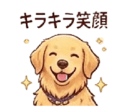 856587974