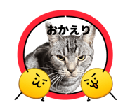 856589985