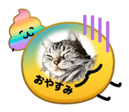 856589986