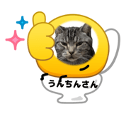 856589989