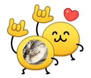 856589990