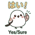 856590067