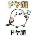 856590074