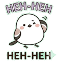 856590081