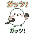 856590084