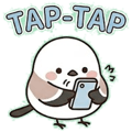 856590087