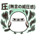 856590090