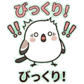 856590091