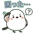 856590094