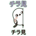 856590096
