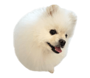 856590312