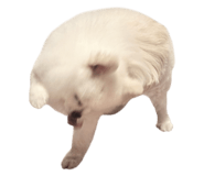 856590320