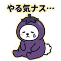 856590384
