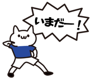 856590677