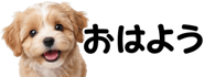 856591169