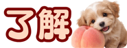 856591171