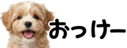 856591172