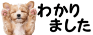 856591173
