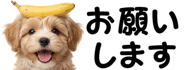 856591174