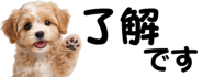 856591175