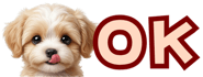 856591176