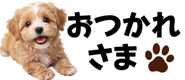 856591177
