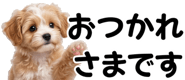 856591178